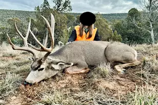 10444 Co Rd 320, Rifle, CO 81650 - Photo 49