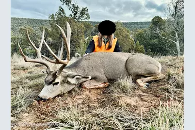 10444 County Road 320, Rifle, CO 81650 - Photo 47