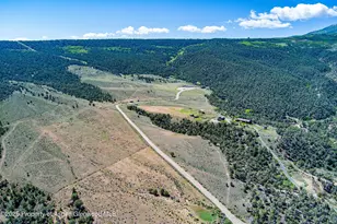 10444 Co Rd 320, Rifle, CO 81650 - Photo 41