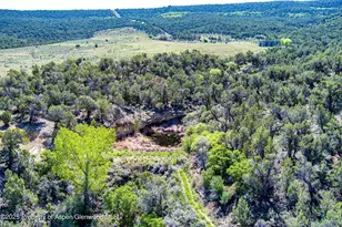 10444 Co Rd 320, Rifle, CO 81650 - Photo 47