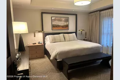 411 S Monarch Street #H8, Aspen, CO 81611 - Photo 7