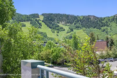 120 S Spring Street #1, Aspen, CO 81611 - Photo 31