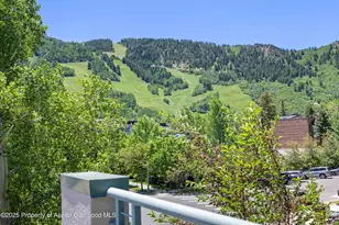 120 S Spring St, Aspen, CO 81611 - Photo 31