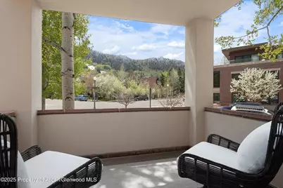 120 S Spring Street #1, Aspen, CO 81611 - Photo 17
