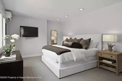 120 S Spring Street #1, Aspen, CO 81611 - Photo 19