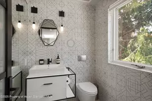 120 S Spring St, Aspen, CO 81611 - Photo 13