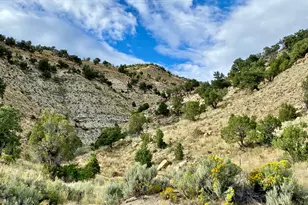 65701 Hwy 64, Meeker, CO 81641 - Photo 33