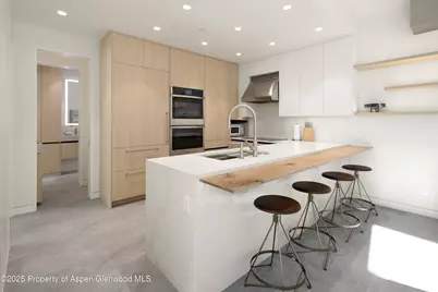 211 W Main Street, Aspen, CO 81611 - Photo 17