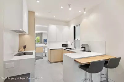 211 W Main Street, Aspen, CO 81611 - Photo 49