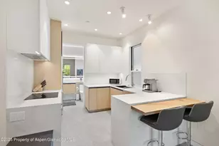 211 W Main St, Aspen, CO 81611 - Photo 49