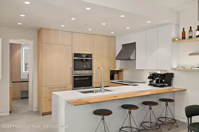 211 W Main Street, Aspen, CO 81611 - Photo 13