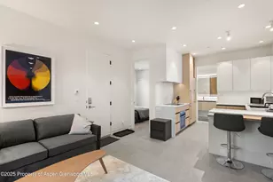 211 W Main St, Aspen, CO 81611 - Photo 51