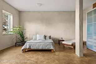 515 Park Cir, Aspen, CO 81611 - Photo 19