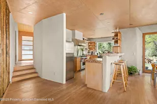 515 Park Cir, Aspen, CO 81611 - Photo 7