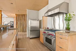 515 Park Cir, Aspen, CO 81611 - Photo 9