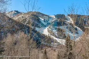 515 Park Cir, Aspen, CO 81611 - Photo 29