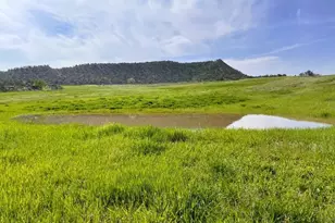 6526 Co Rd 331, Silt, CO 81652 - Photo 3