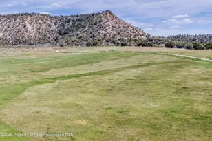 6526 Co Rd 331, Silt, CO 81652 - Photo 21