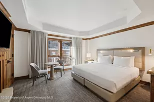 415 E Dean St Unit 44A Week 9, Aspen, CO 81611 - Photo 3