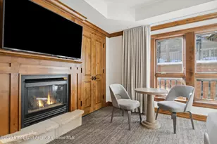 415 E Dean St Unit 44A Week 9, Aspen, CO 81611 - Photo 5