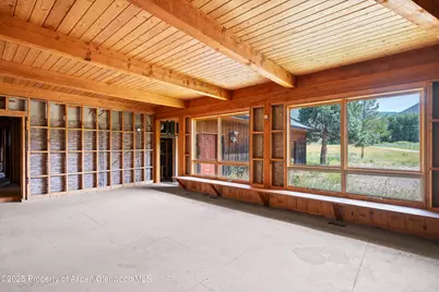 176 Letey Lane, Woody Creek, CO 81656 - Photo 19