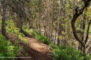 176 Letey Ln, Woody Creek, CO 81656 - Photo 5