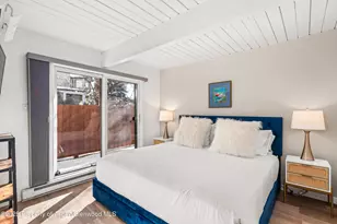 630 E Cooper Ave, Aspen, CO 81611 - Photo 7