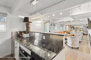 630 E Cooper Ave, Aspen, CO 81611 - Photo 5