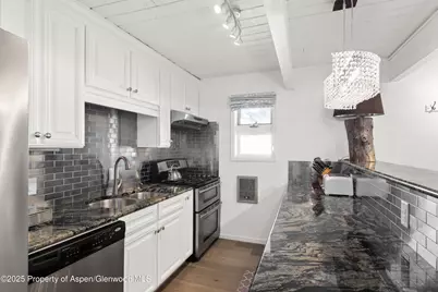 630 E Cooper Avenue #4, Aspen, CO 81611 - Photo 3