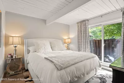 630 E Cooper Avenue #4, Aspen, CO 81611 - Photo 7