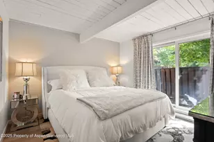 630 E Cooper Ave, Aspen, CO 81611 - Photo 7