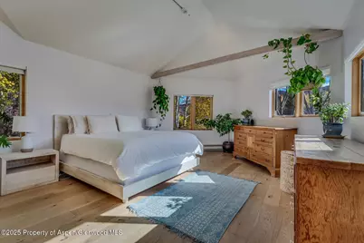 116 Katydid Lane, Snowmass, CO 81654 - Photo 17