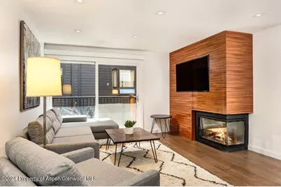 205 E Durant Avenue #2J, Aspen, CO 81611 - Photo 7