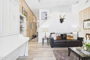 311 S Aspen St, Aspen, CO 81611 - Photo 11