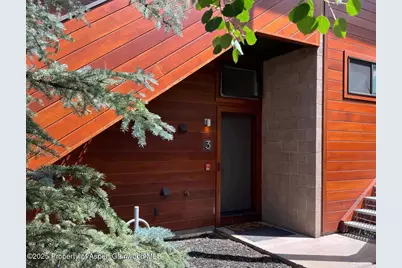 311 S Aspen Street #3, Aspen, CO 81611 - Photo 21