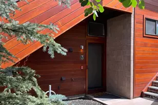 311 S Aspen St, Aspen, CO 81611 - Photo 21