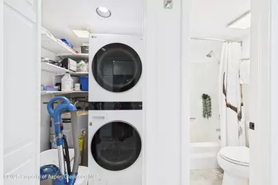 311 S Aspen Street #3, Aspen, CO 81611 - Photo 17