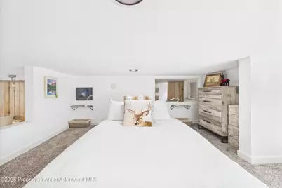 311 S Aspen Street #3, Aspen, CO 81611 - Photo 19