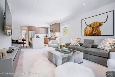 210 E Cooper Avenue #3G, Aspen, CO 81611 - Photo 5