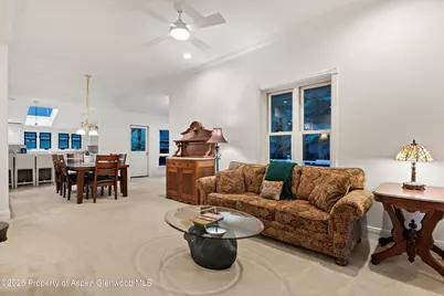 716 & 718 W Hallam Street, Aspen, CO 81611 - Photo 9