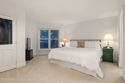 716 & 718 W Hallam Street, Aspen, CO 81611 - Photo 23