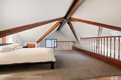 716 & 718 W Hallam Street, Aspen, CO 81611 - Photo 49