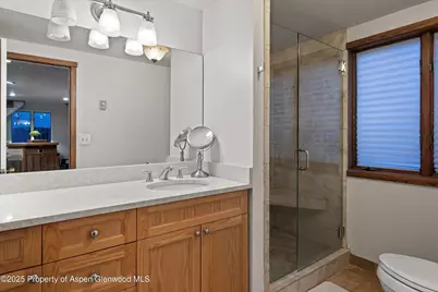 716 & 718 W Hallam Street, Aspen, CO 81611 - Photo 47