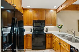 610 S W End St, Aspen, CO 81611 - Photo 13