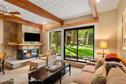 610 S West End Street #D105, Aspen, CO 81611 - Photo 1