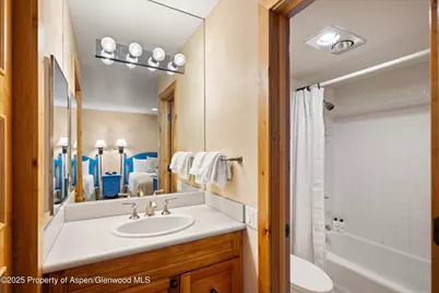 610 S West End Street #D105, Aspen, CO 81611 - Photo 17
