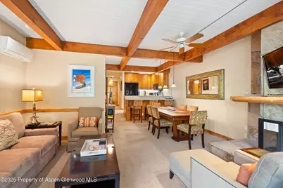 610 S West End Street #D105, Aspen, CO 81611 - Photo 9