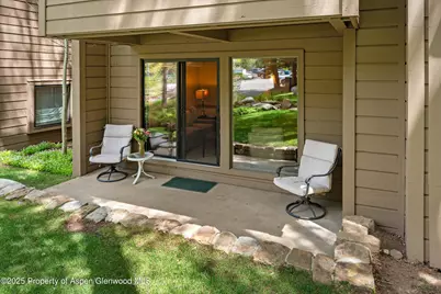 610 S West End Street #D105, Aspen, CO 81611 - Photo 3