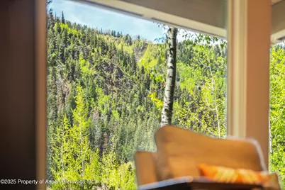 610 S West End Street #D105, Aspen, CO 81611 - Photo 7