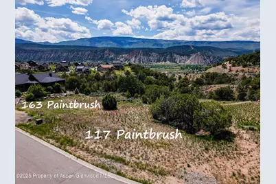 163 Paintbrush Way, Glenwood Springs, CO 81601 - Photo 1